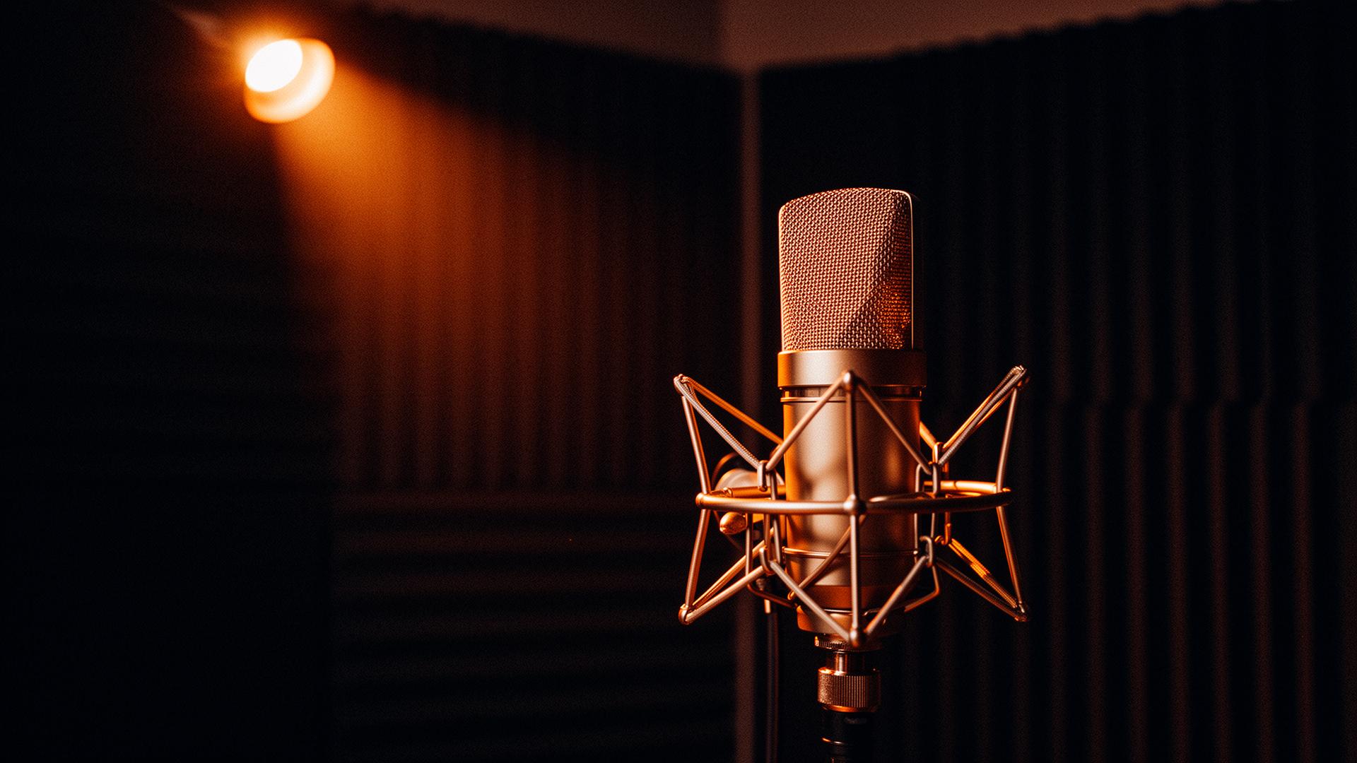 Microphone in a professional recording environment